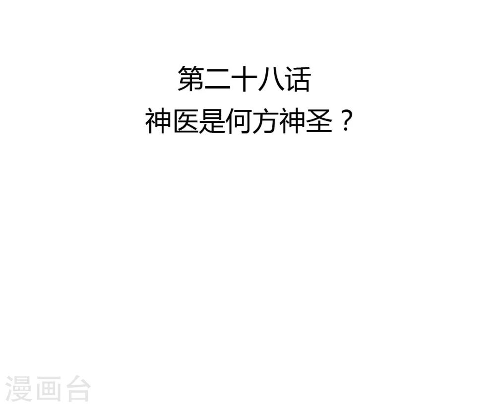 第28话 神医是何方神圣？-第29话