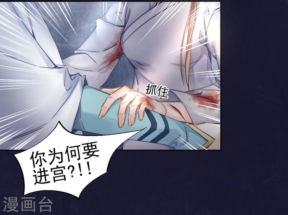 第30话 沈盟主也被骗进宫？-第31话