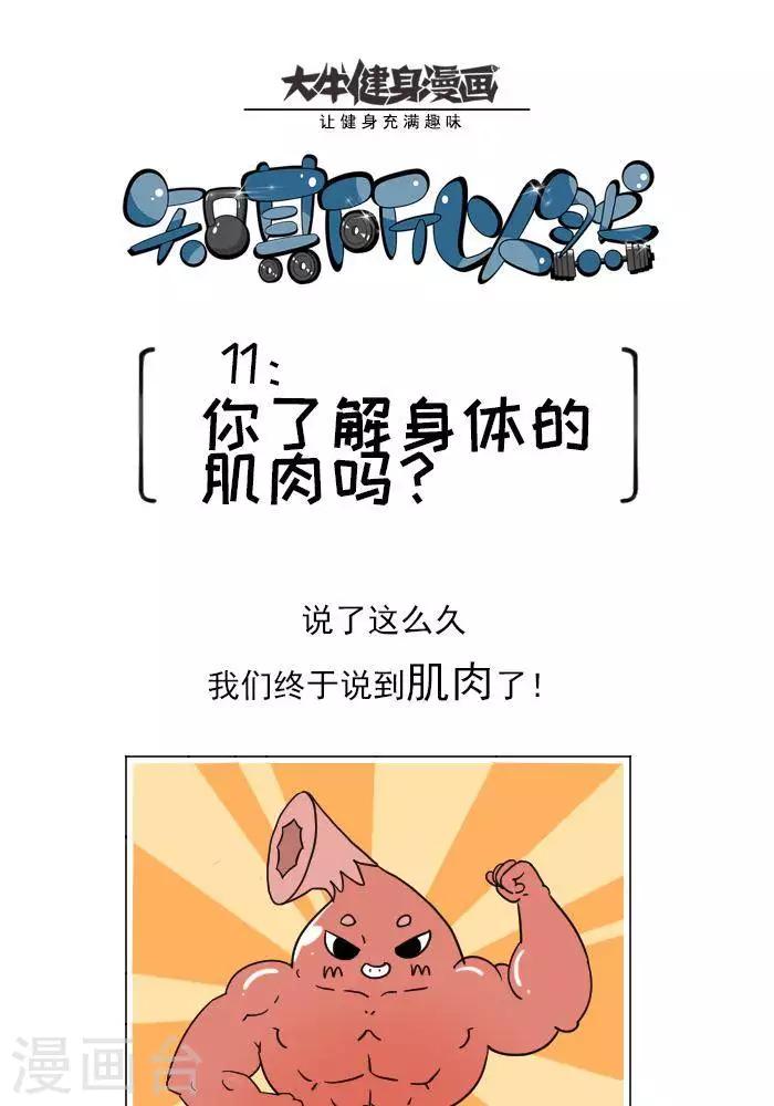 🍼大牛健身漫画 第11话  你对肌肉多了解？ 第1页