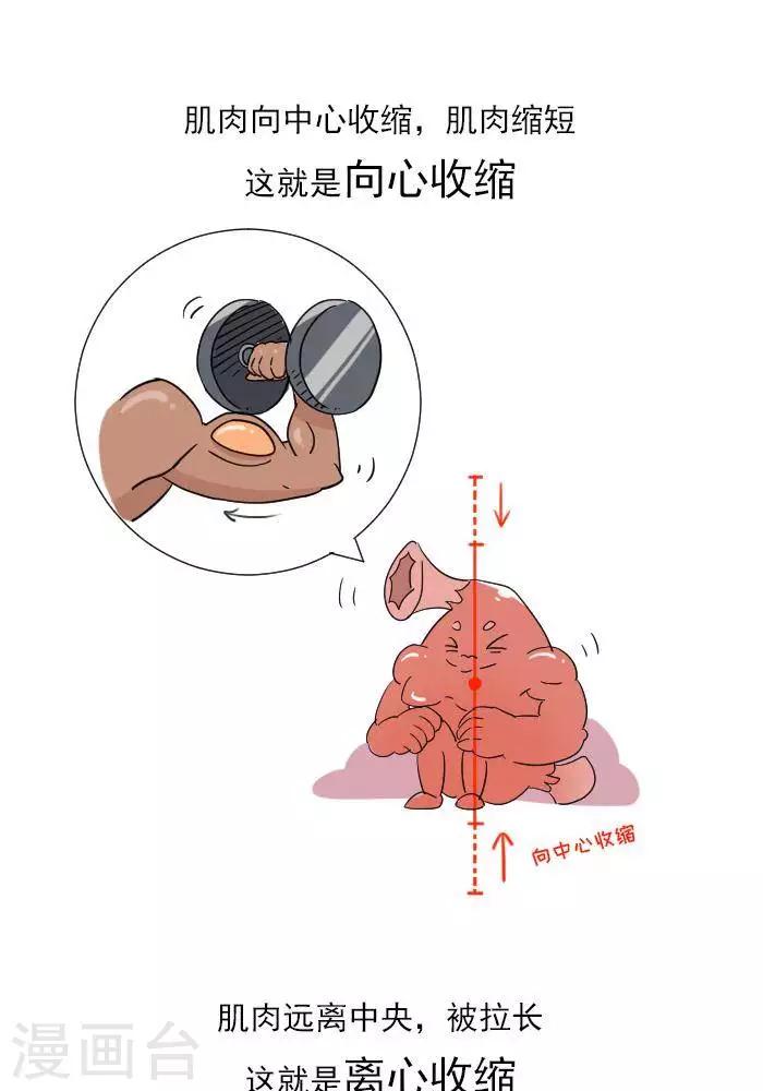 🍼大牛健身漫画 第11话  你对肌肉多了解？ 第10页