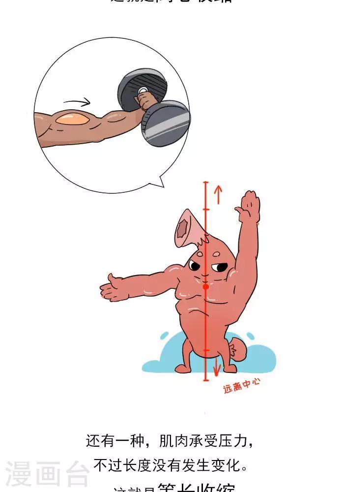 🍼大牛健身漫画 第11话  你对肌肉多了解？ 第11页