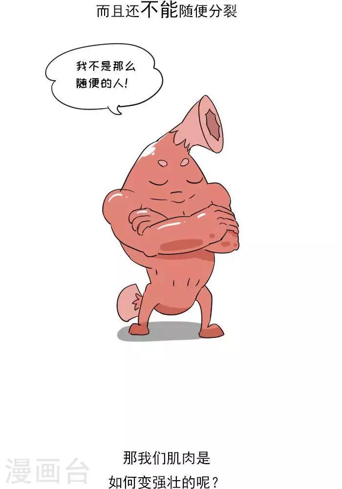 🍼大牛健身漫画 第11话  你对肌肉多了解？ 第13页