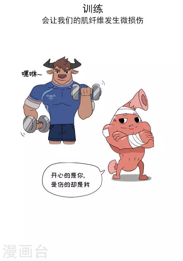 🍼大牛健身漫画 第11话  你对肌肉多了解？ 第15页