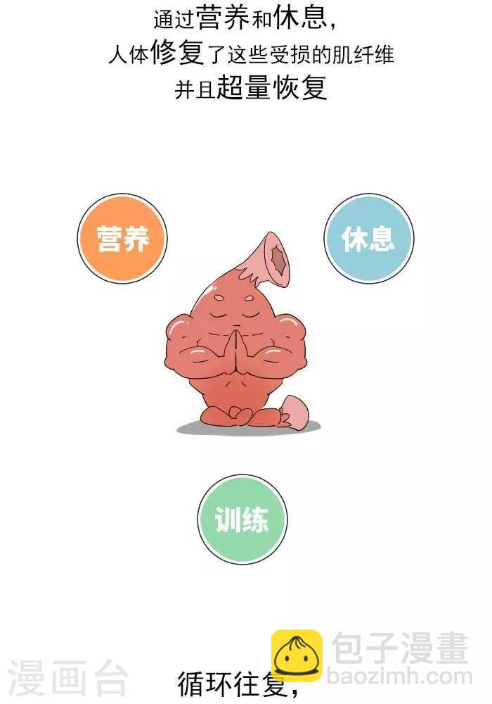 🍼大牛健身漫画 第11话  你对肌肉多了解？ 第16页