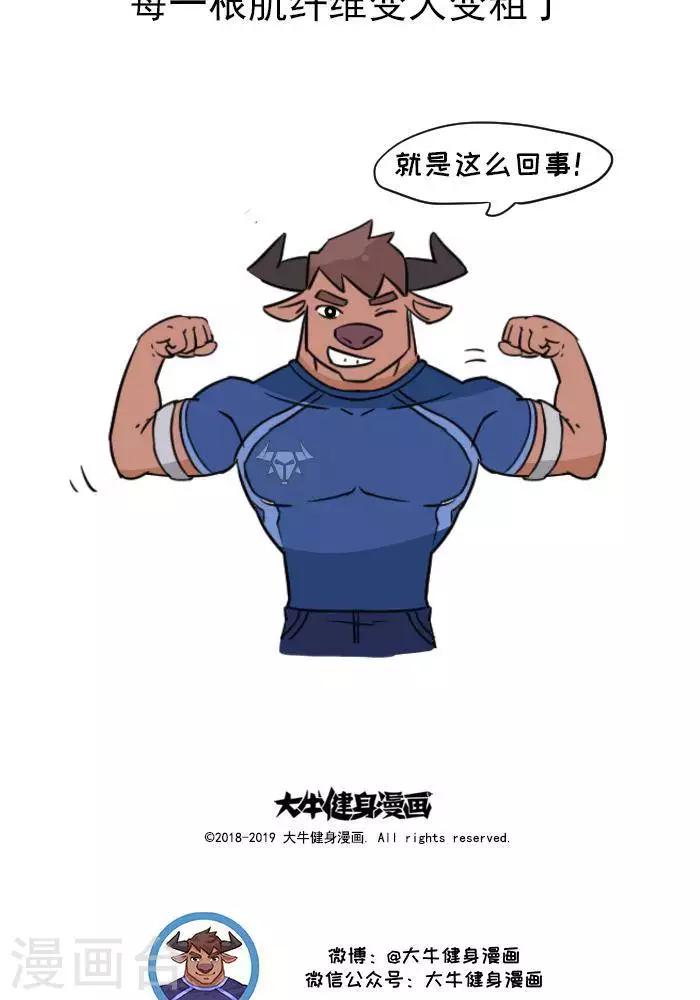 🍼大牛健身漫画 第11话  你对肌肉多了解？ 第18页