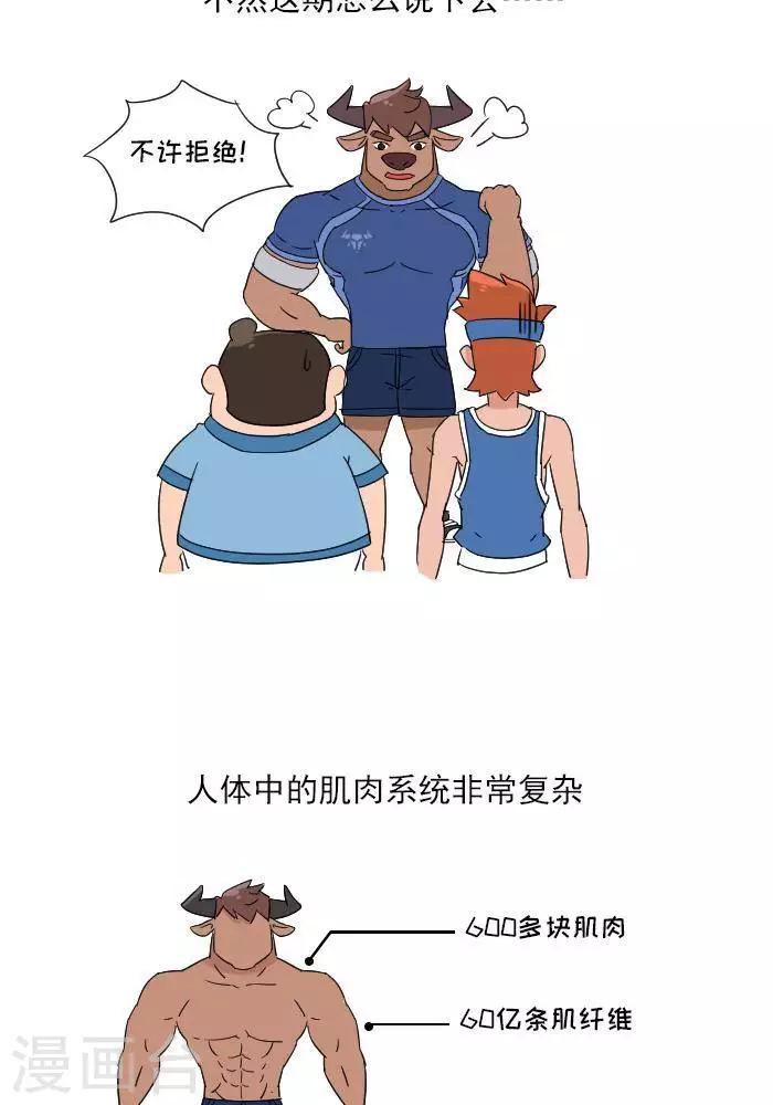 🍼大牛健身漫画 第11话  你对肌肉多了解？ 第3页