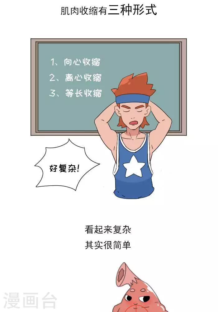 🍼大牛健身漫画 第11话  你对肌肉多了解？ 第8页