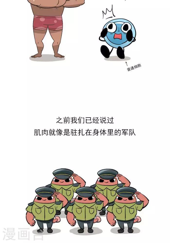 🍼大牛健身漫画 第13话  RM是什么？ 第9页