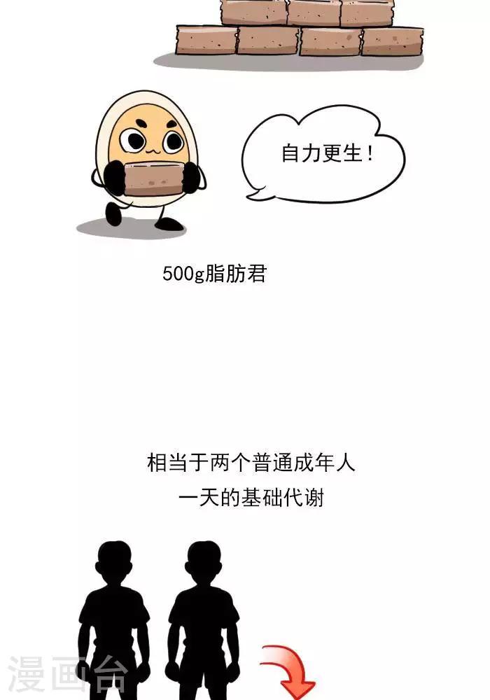🍼大牛健身漫画 第19话  减肥和减重是一样的吗？ 第17页