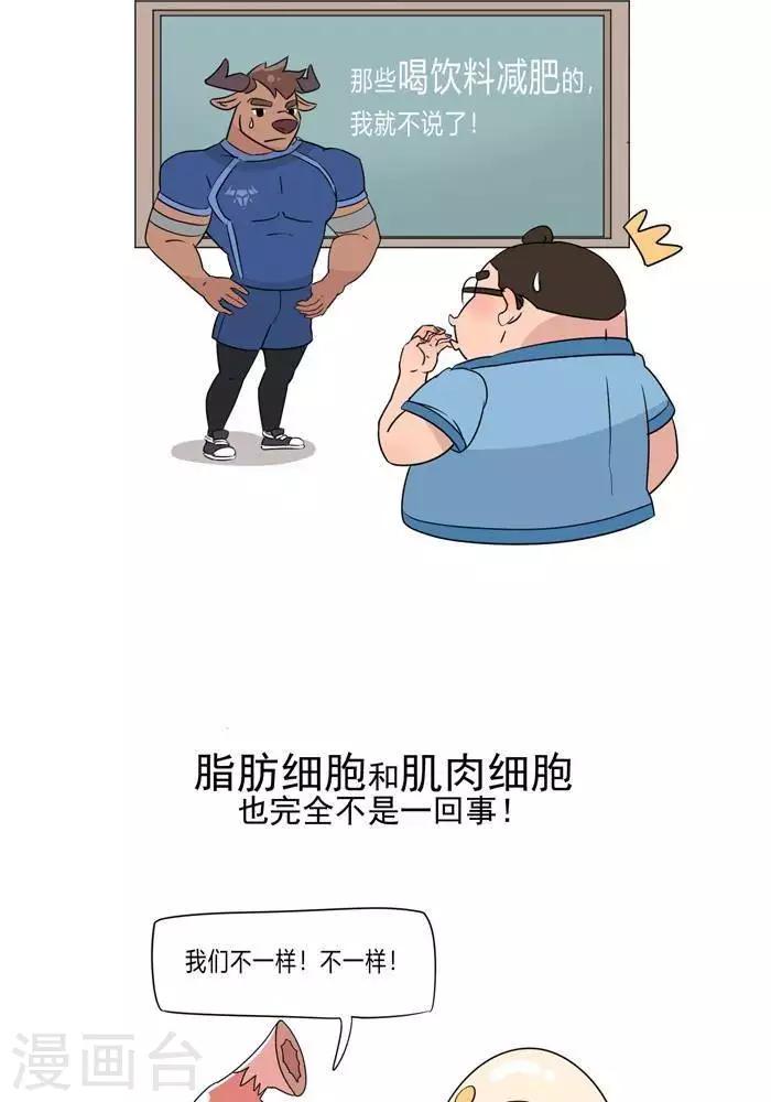 🍼大牛健身漫画 第5话  脂肪有多神秘 第12页