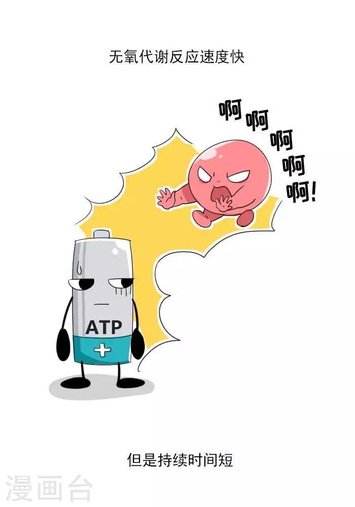 🍼大牛健身漫画 第7话  ATP是什么？ 第10页