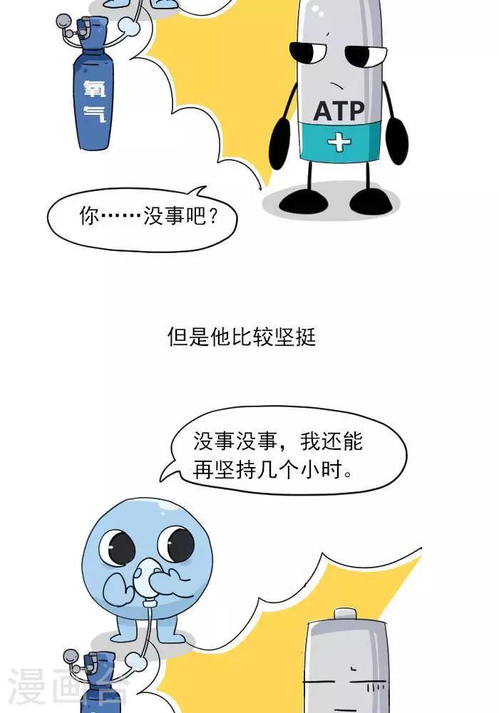 🍼大牛健身漫画 第7话  ATP是什么？ 第14页