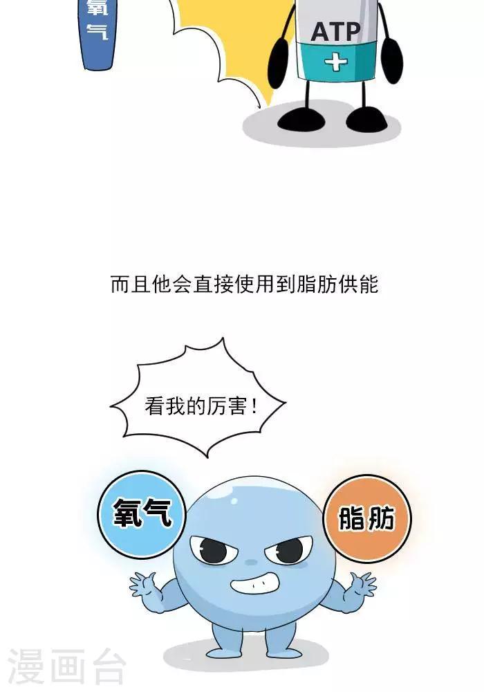 🍼大牛健身漫画 第7话  ATP是什么？ 第15页