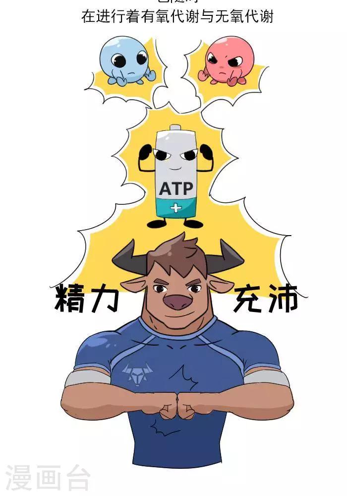 🍼大牛健身漫画 第7话  ATP是什么？ 第18页