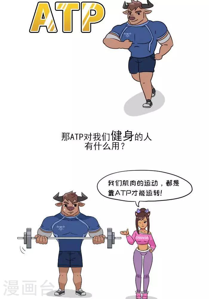🍼大牛健身漫画 第7话  ATP是什么？ 第3页
