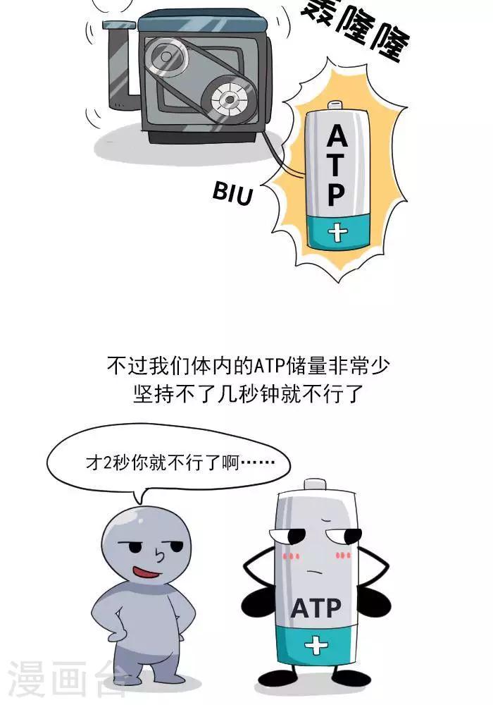 🍼大牛健身漫画 第7话  ATP是什么？ 第5页