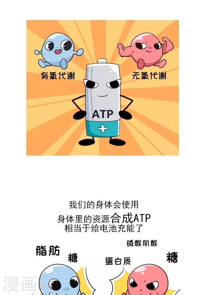 🍼大牛健身漫画 第7话  ATP是什么？ 第7页