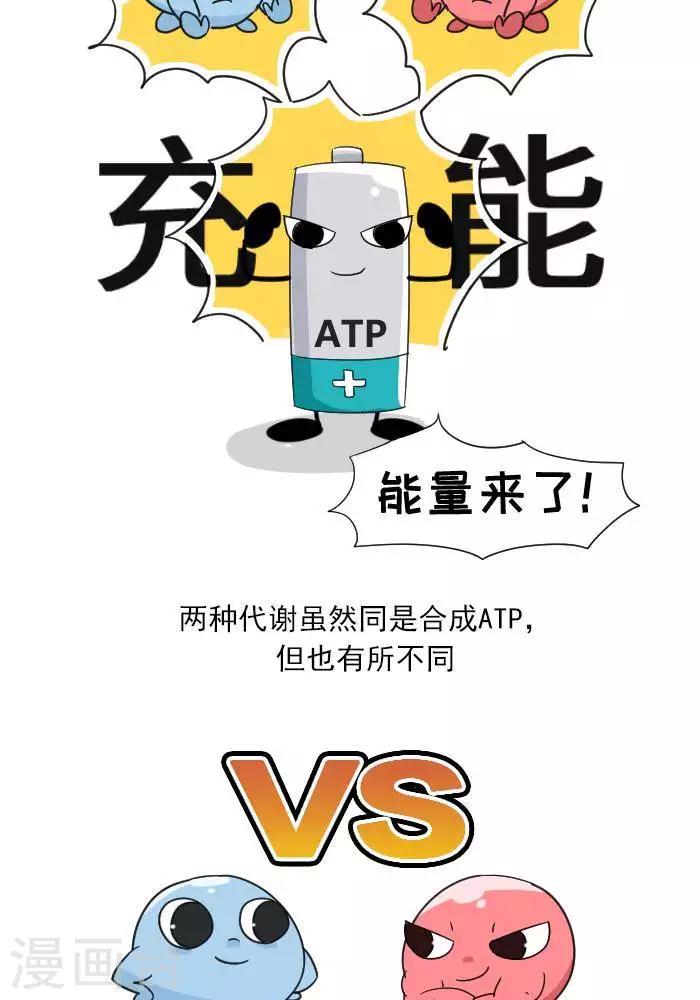 🍼大牛健身漫画 第7话  ATP是什么？ 第8页