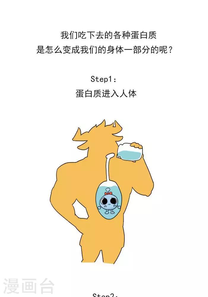 🍼大牛健身漫画 第9话  蛋白质知多少？ 第10页