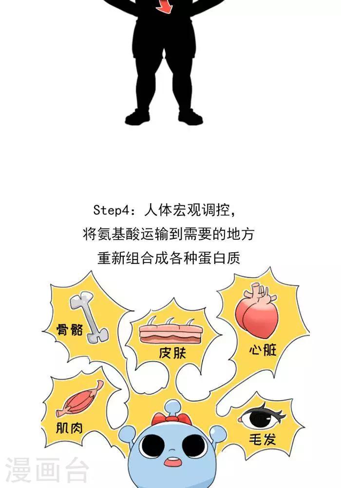 🍼大牛健身漫画 第9话  蛋白质知多少？ 第12页