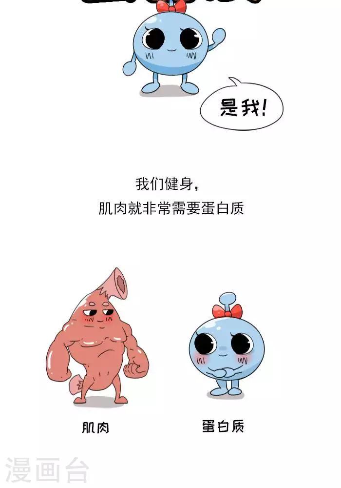 🍼大牛健身漫画 第9话  蛋白质知多少？ 第4页