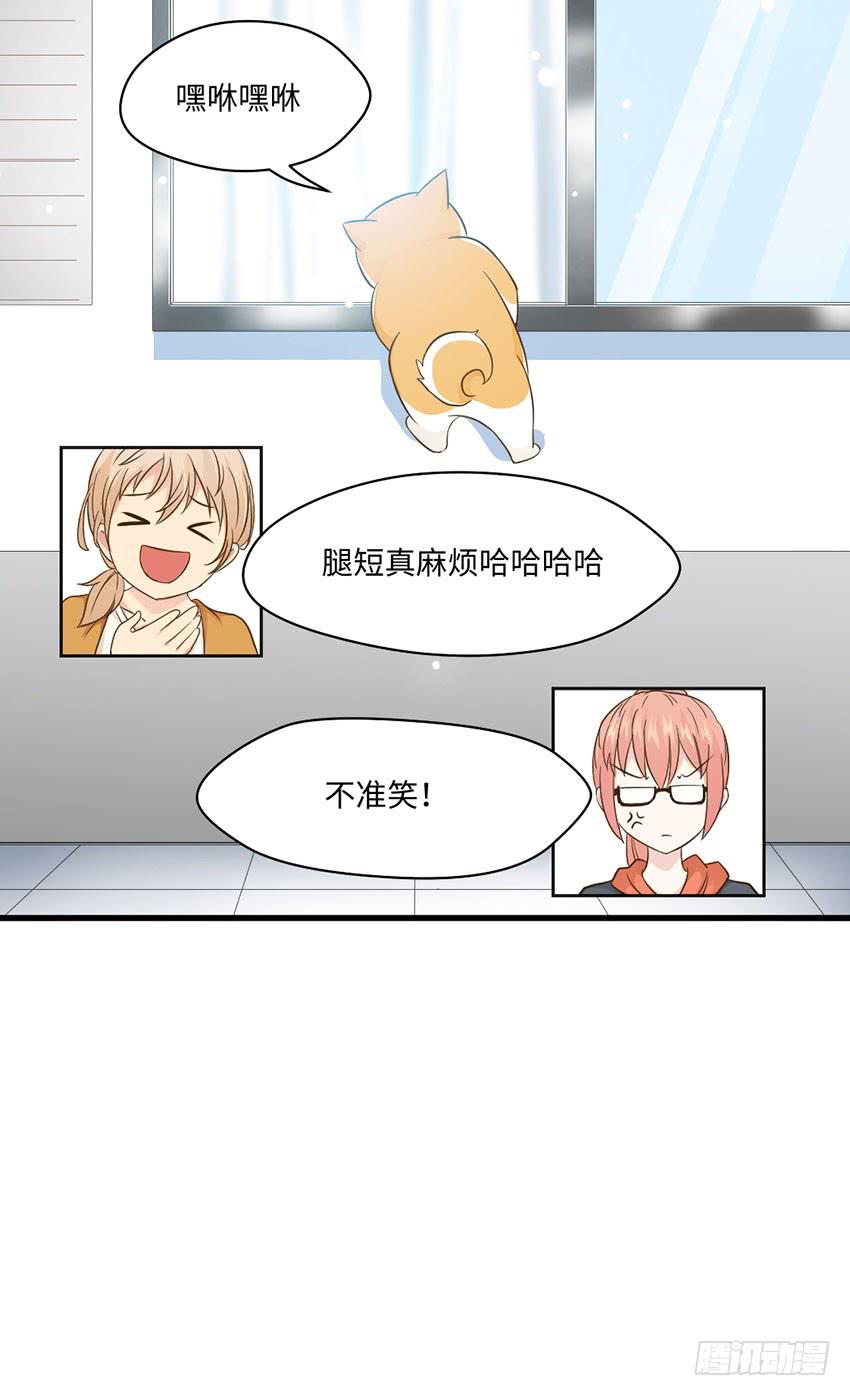 老师你真的是医生吗？-第15话