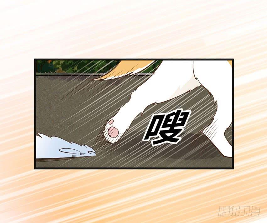 时空错乱？-第19话