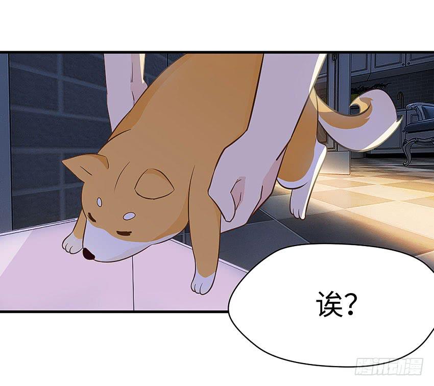 30&middot;难眠之夜-第31话