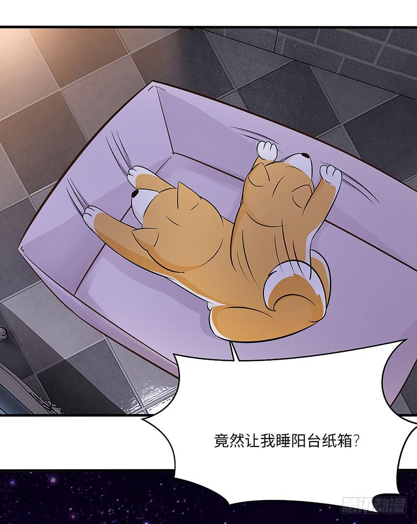 30&middot;难眠之夜-第31话