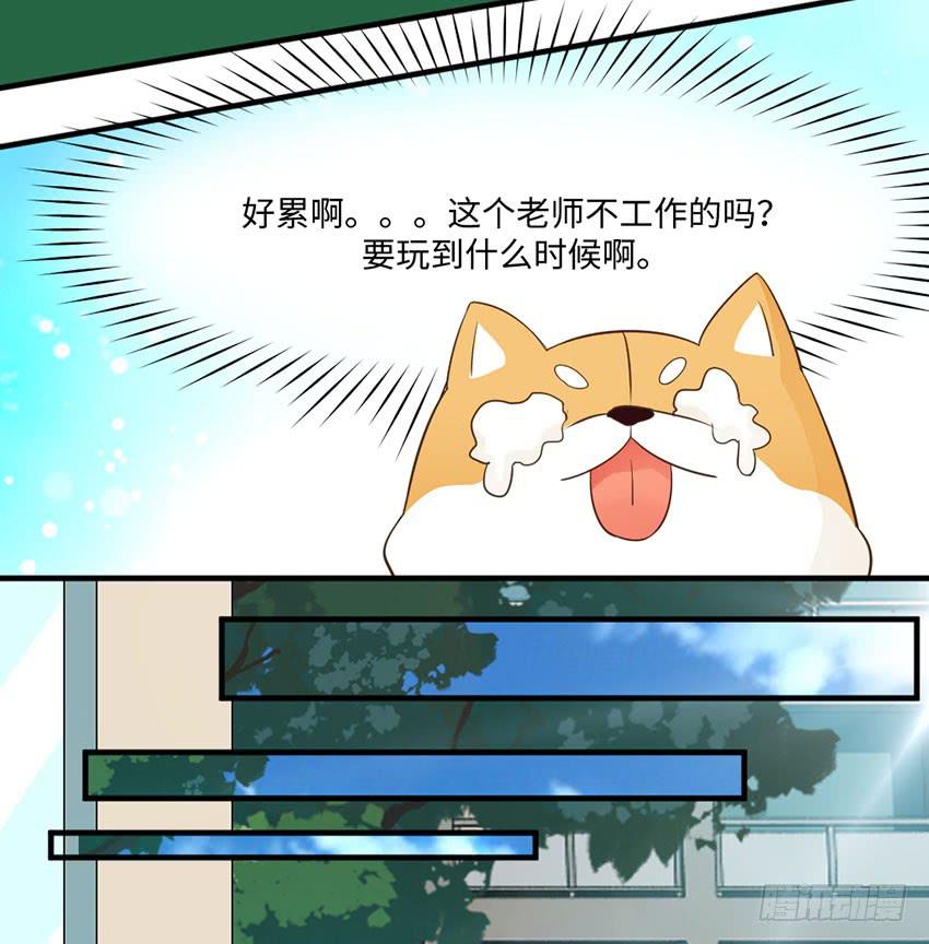 36&middot;一个愿打一个愿挨-第37话