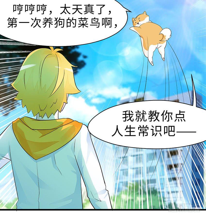 38&middot;遛狗记得牵狗绳-第39话