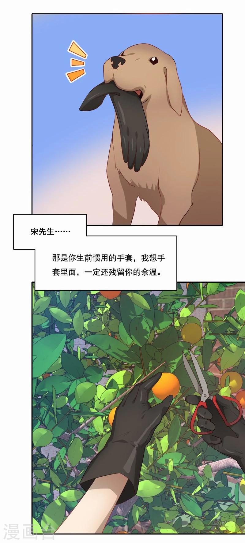 第46话 致敬英雄-第47话