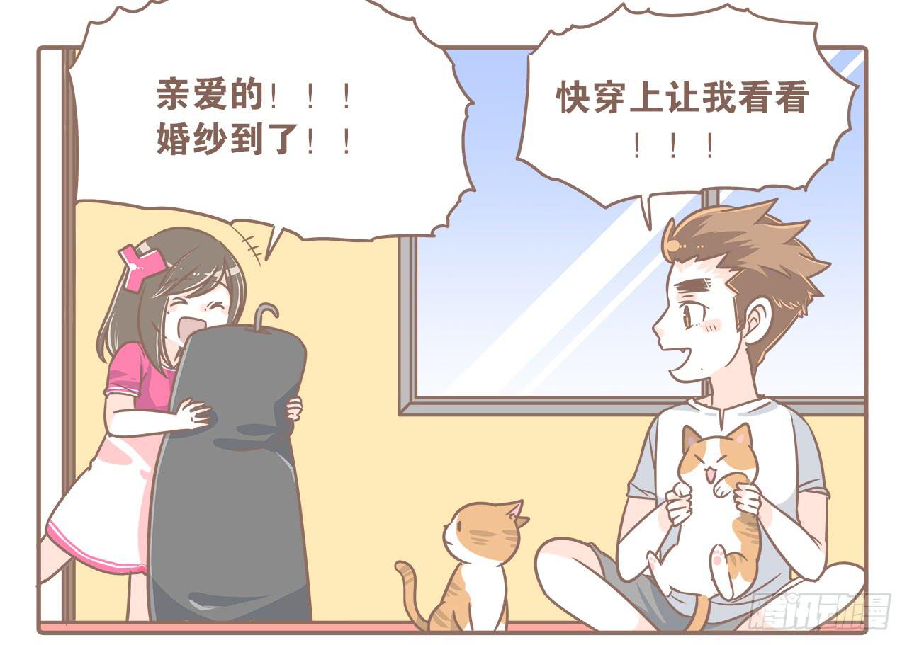此处不能有猫-第19话