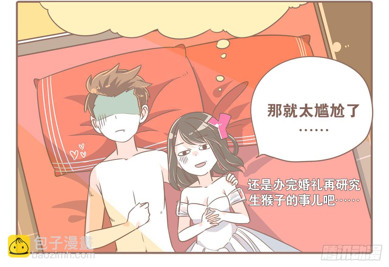 此处不能有猫-第19话