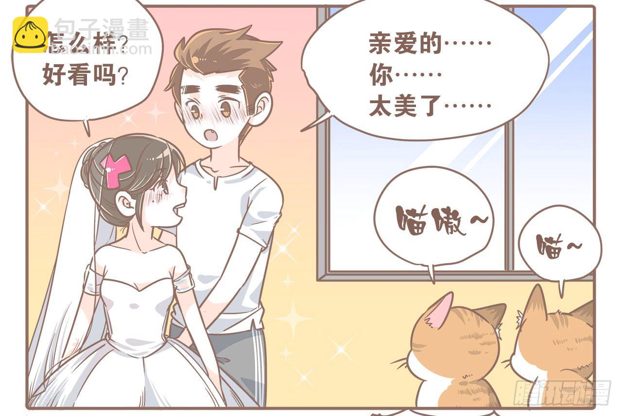 此处不能有猫-第19话