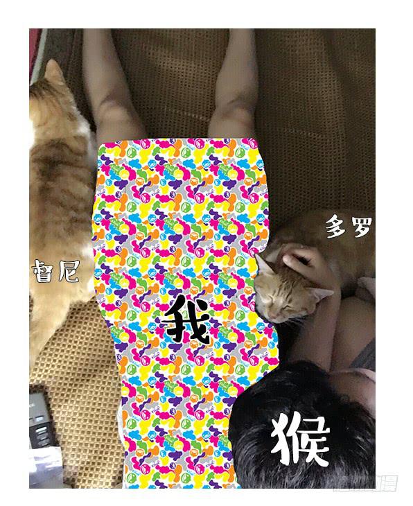 一只粘人的大猴子-第23话