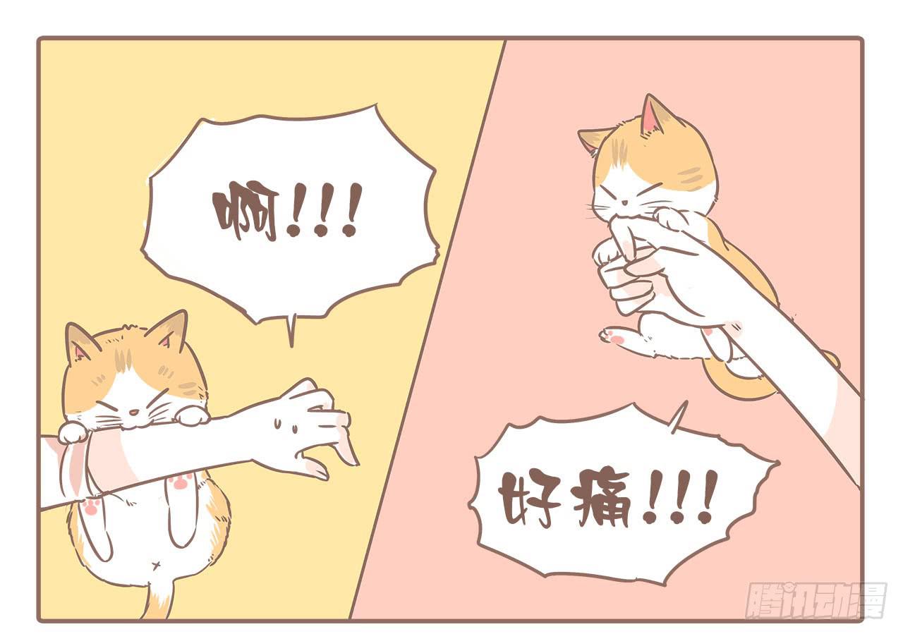 领养了一只猫，叫督尼-第7话