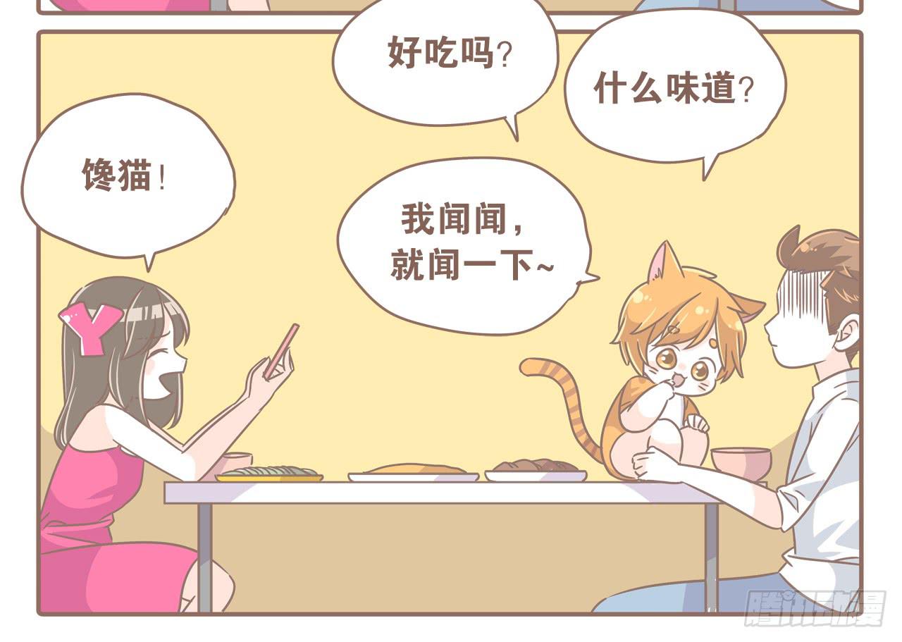家有俩猫 之二-第69话