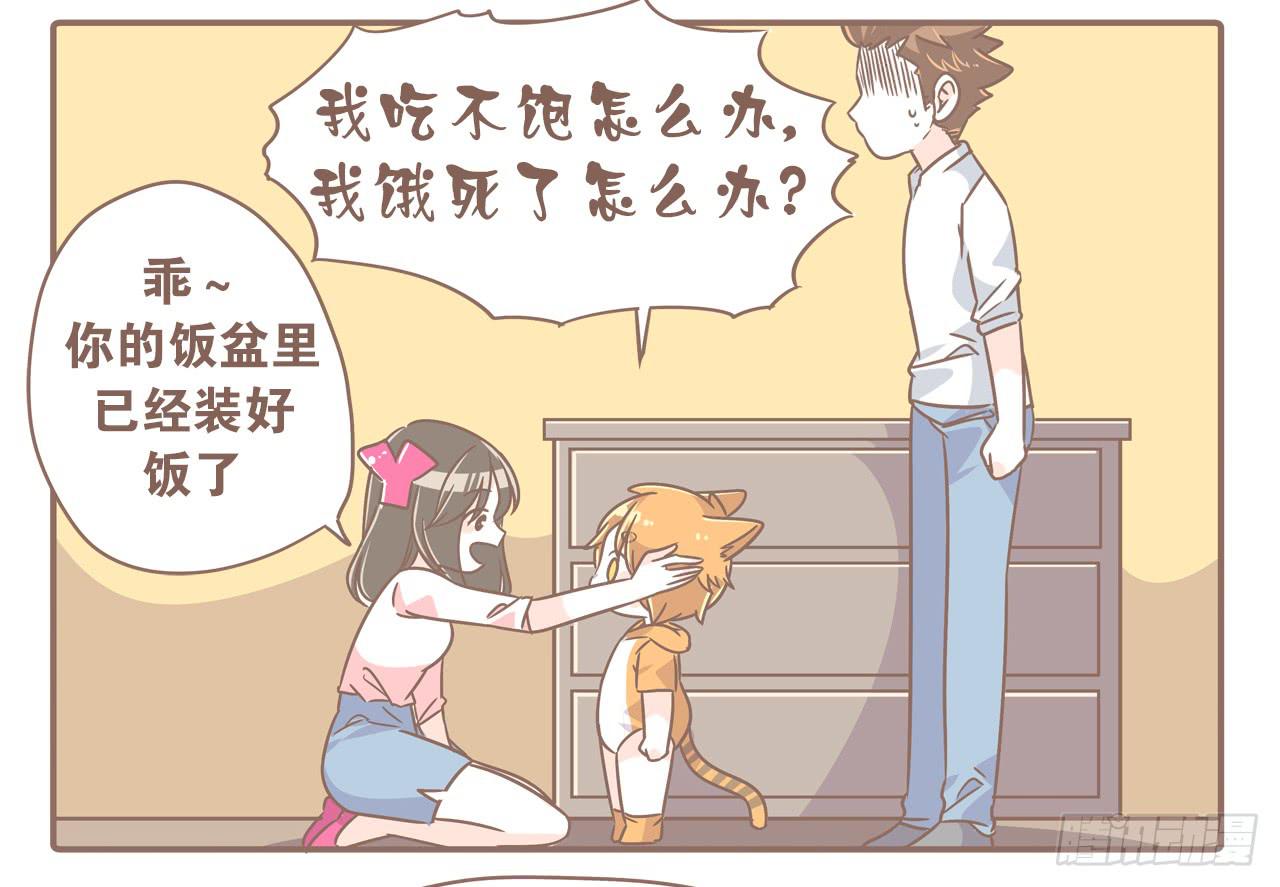 家有俩猫 之二-第69话