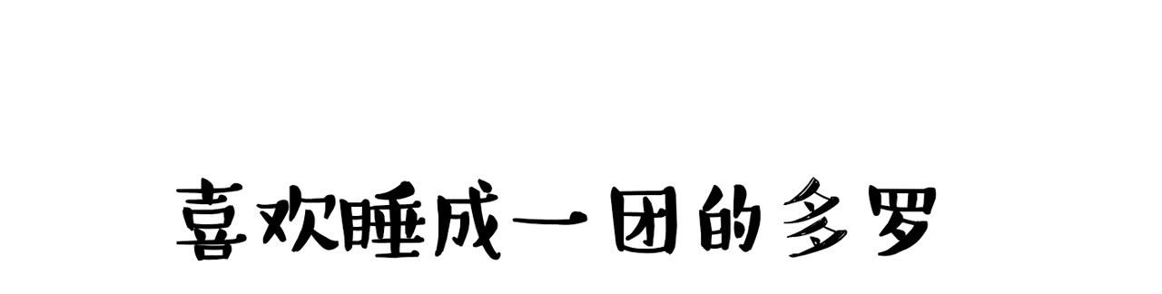 家有俩猫 之二-第69话