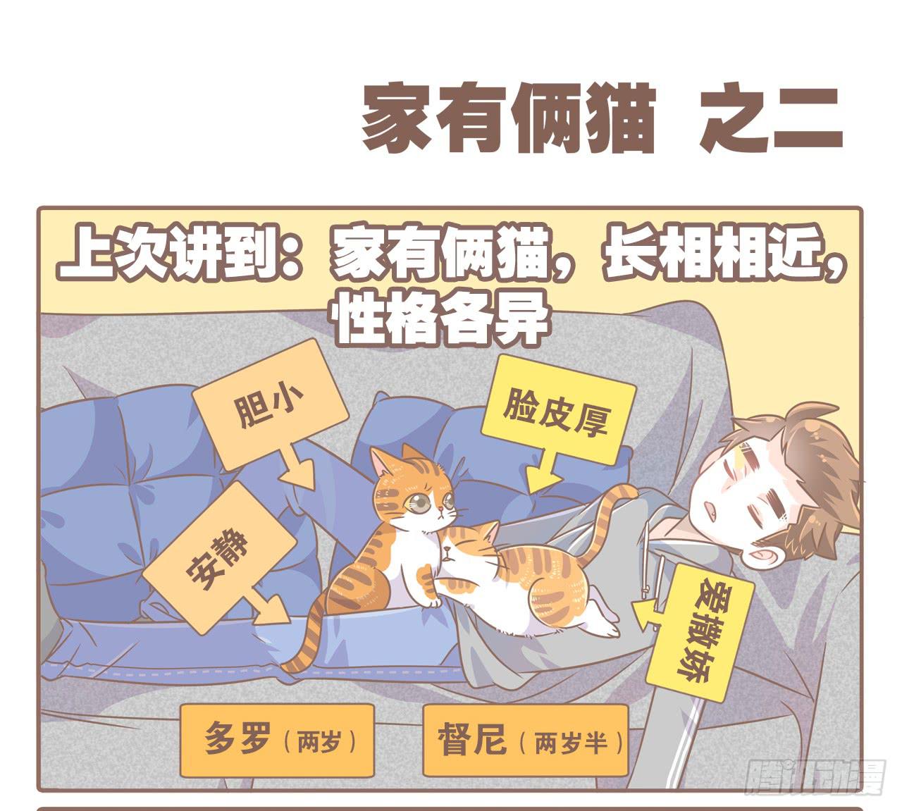 家有俩猫 之二-第69话