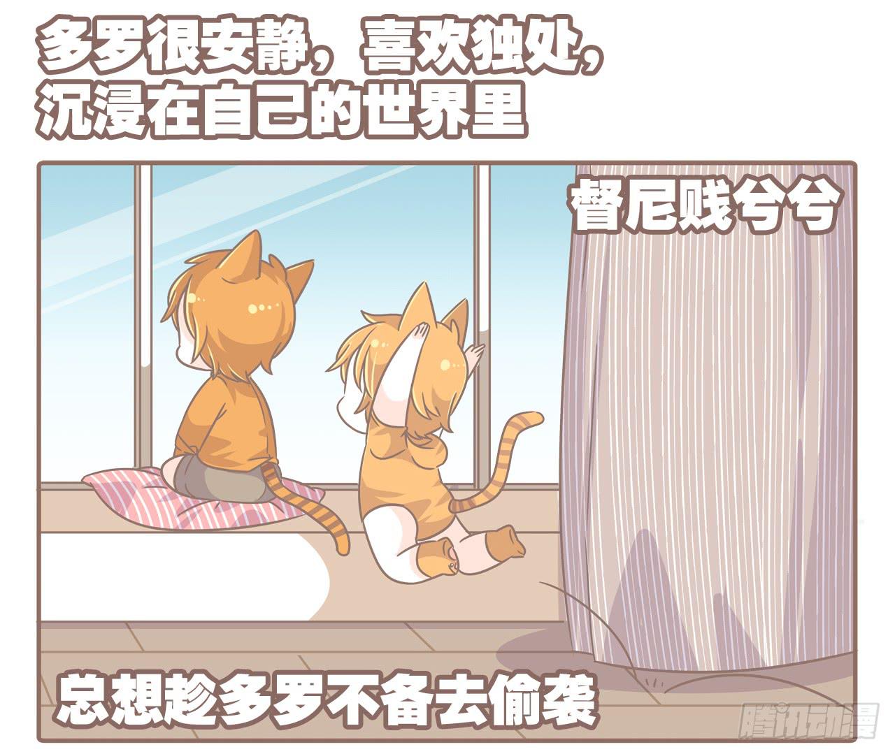 家有俩猫 之二-第69话