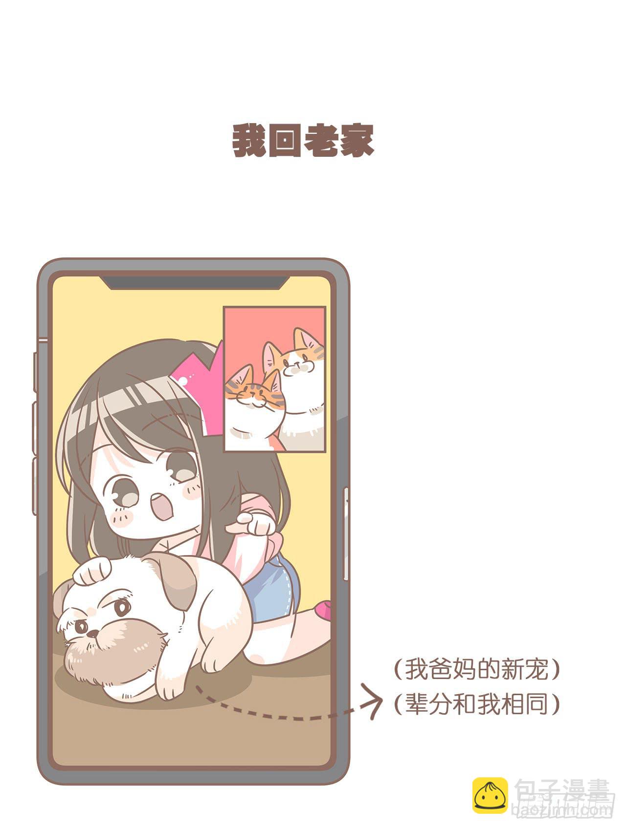 邀请你进行视频通话-第87话