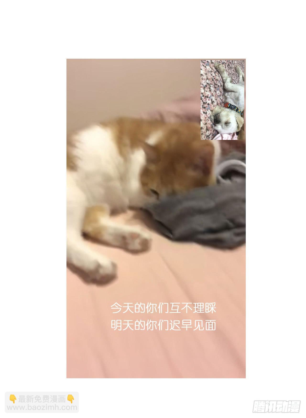 邀请你进行视频通话-第87话