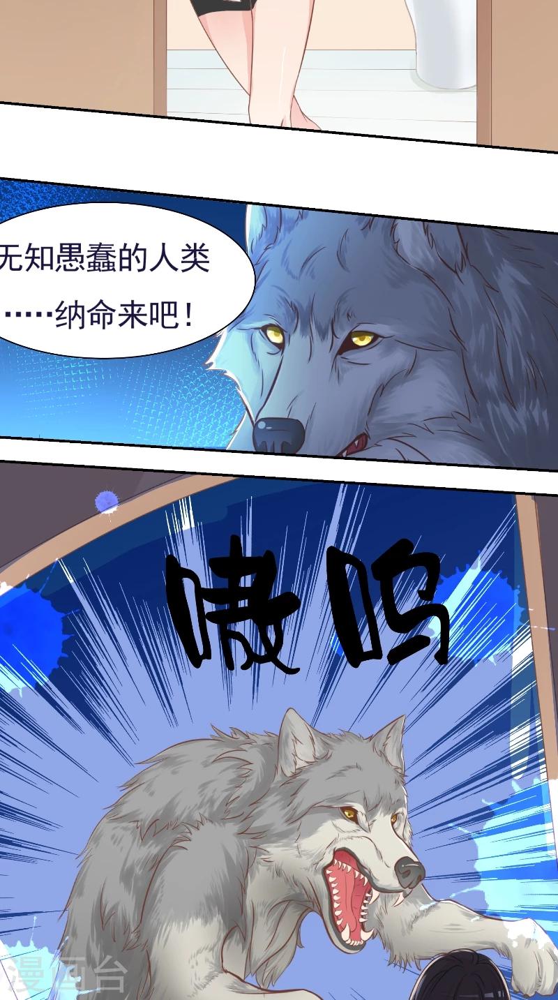 第1话 我家冒出一只哈士奇-第1话