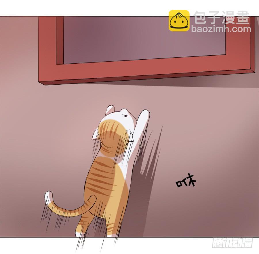 徐良娣你也出来赏月？-第11话