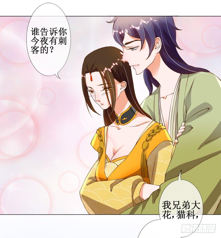 刺客也不好当-第31话