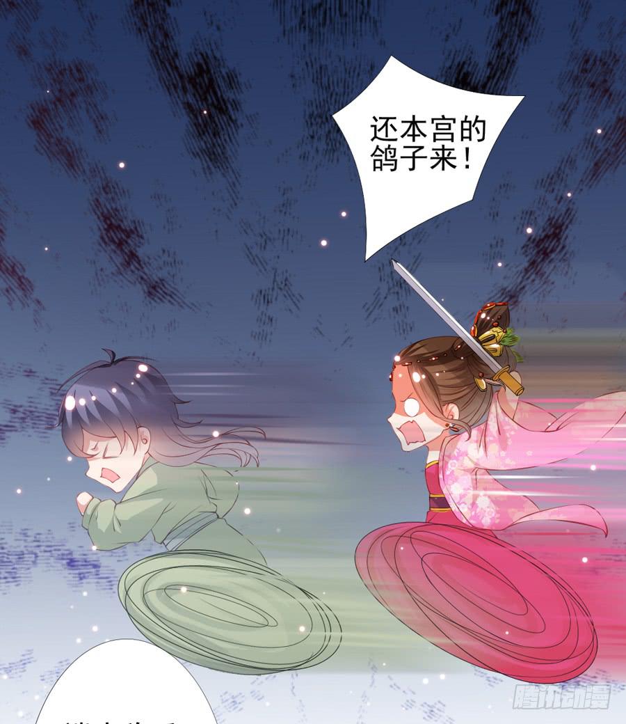 本君也想被殿下追着跑(1/2)-第47话