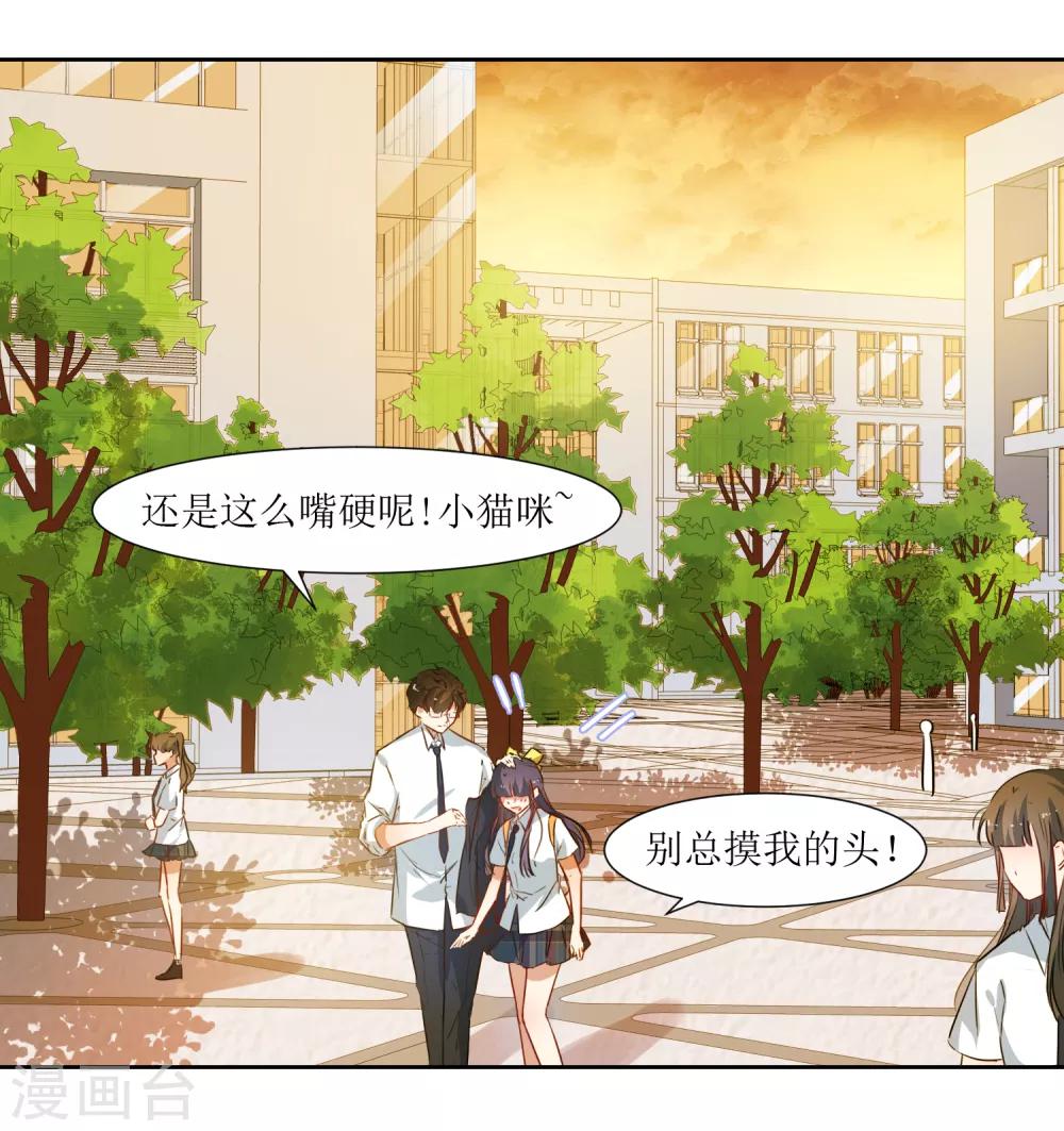第39话 嘴硬的小猫咪-第41话