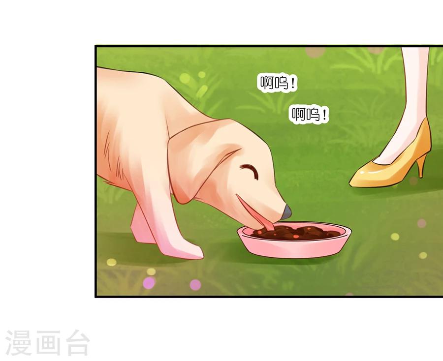 第4话 狗粮-第5话